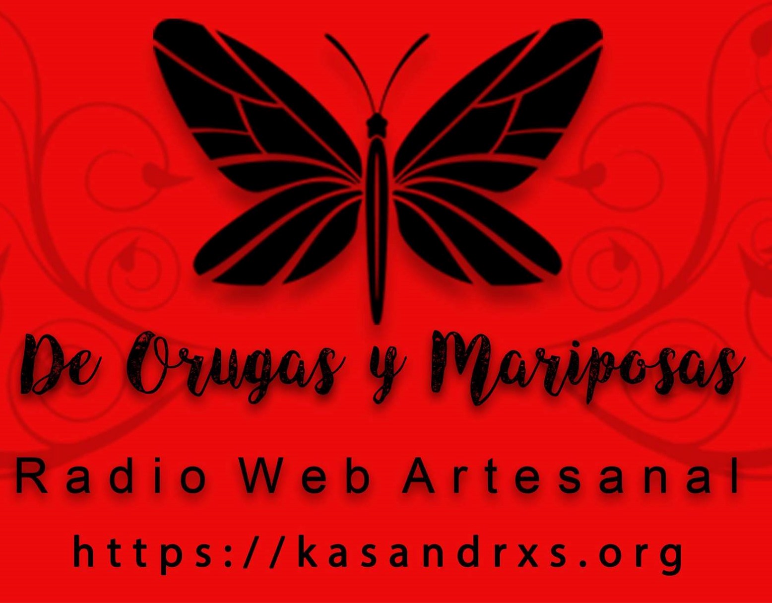 Radio de Orugas y Mariposas